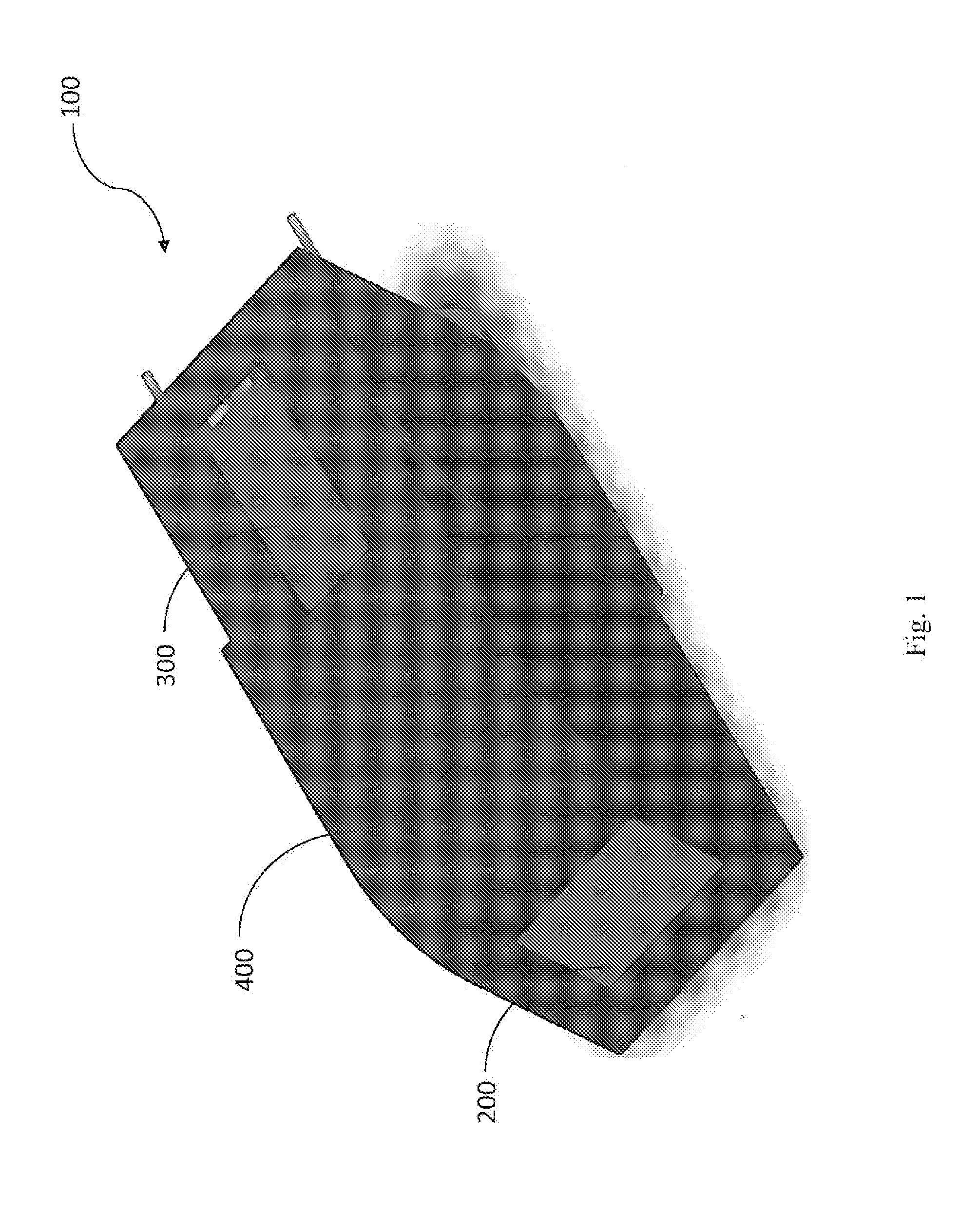 Apparatus and Method for Analyzing a Bodily Sample