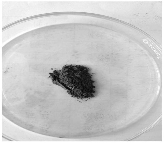 Biochar prepared by co-pyrolysis of excess sludge and hazelnut shells and photocatalytic modification method of biochar