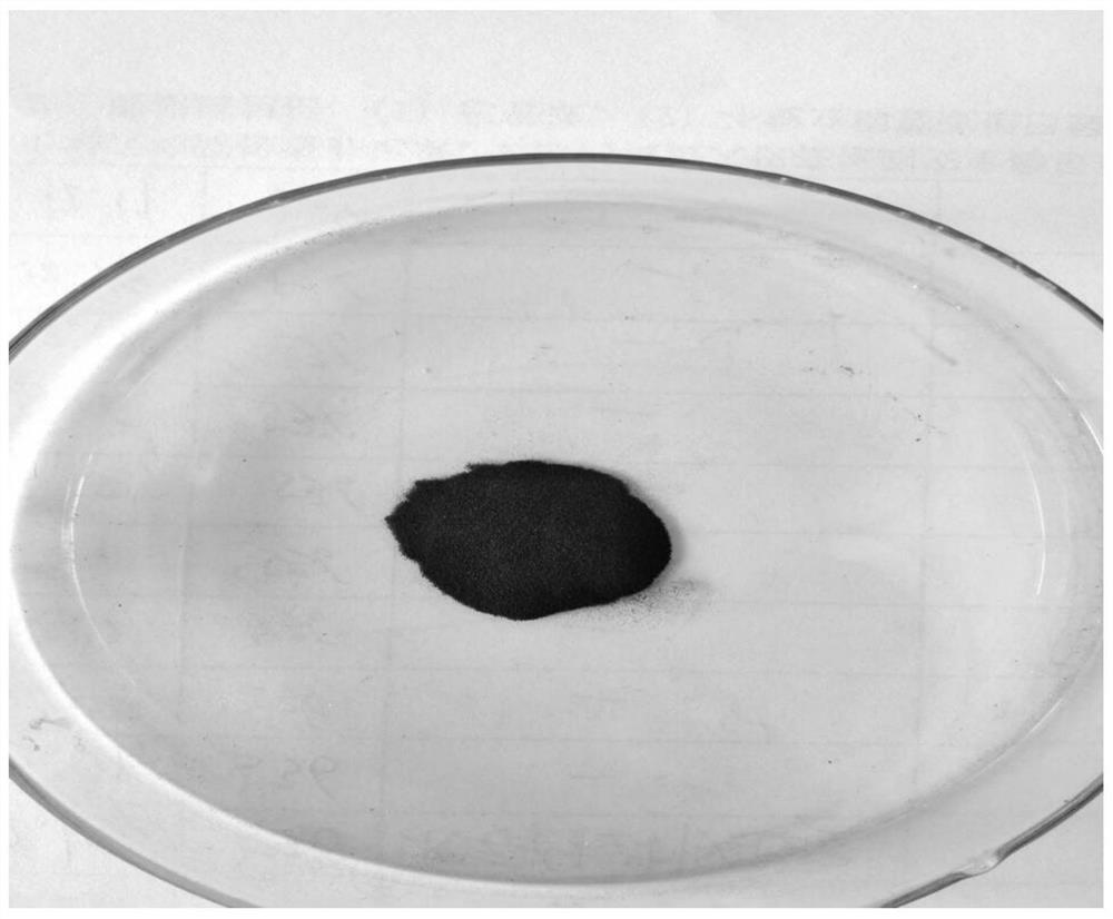 Biochar prepared by co-pyrolysis of excess sludge and hazelnut shells and photocatalytic modification method of biochar