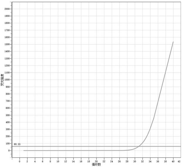 Nucleic acid composition for 2019-nCoV E gene detection as well as kit and production method thereof