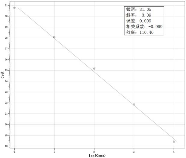 Nucleic acid composition for 2019-nCoV E gene detection as well as kit and production method thereof