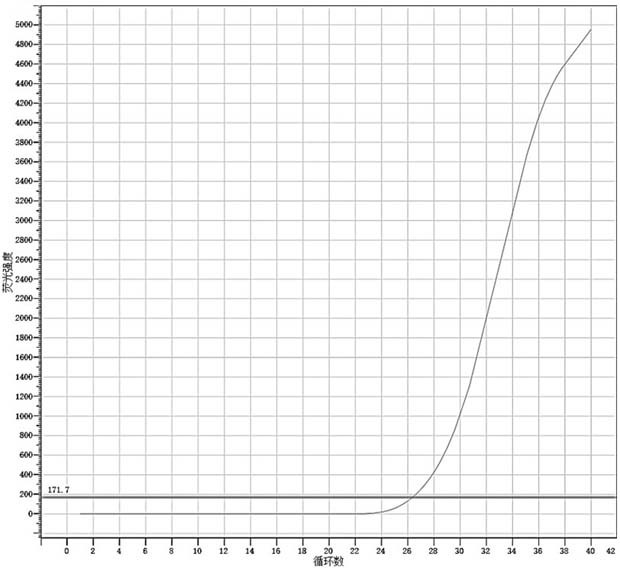 Nucleic acid composition for 2019-nCoV E gene detection as well as kit and production method thereof