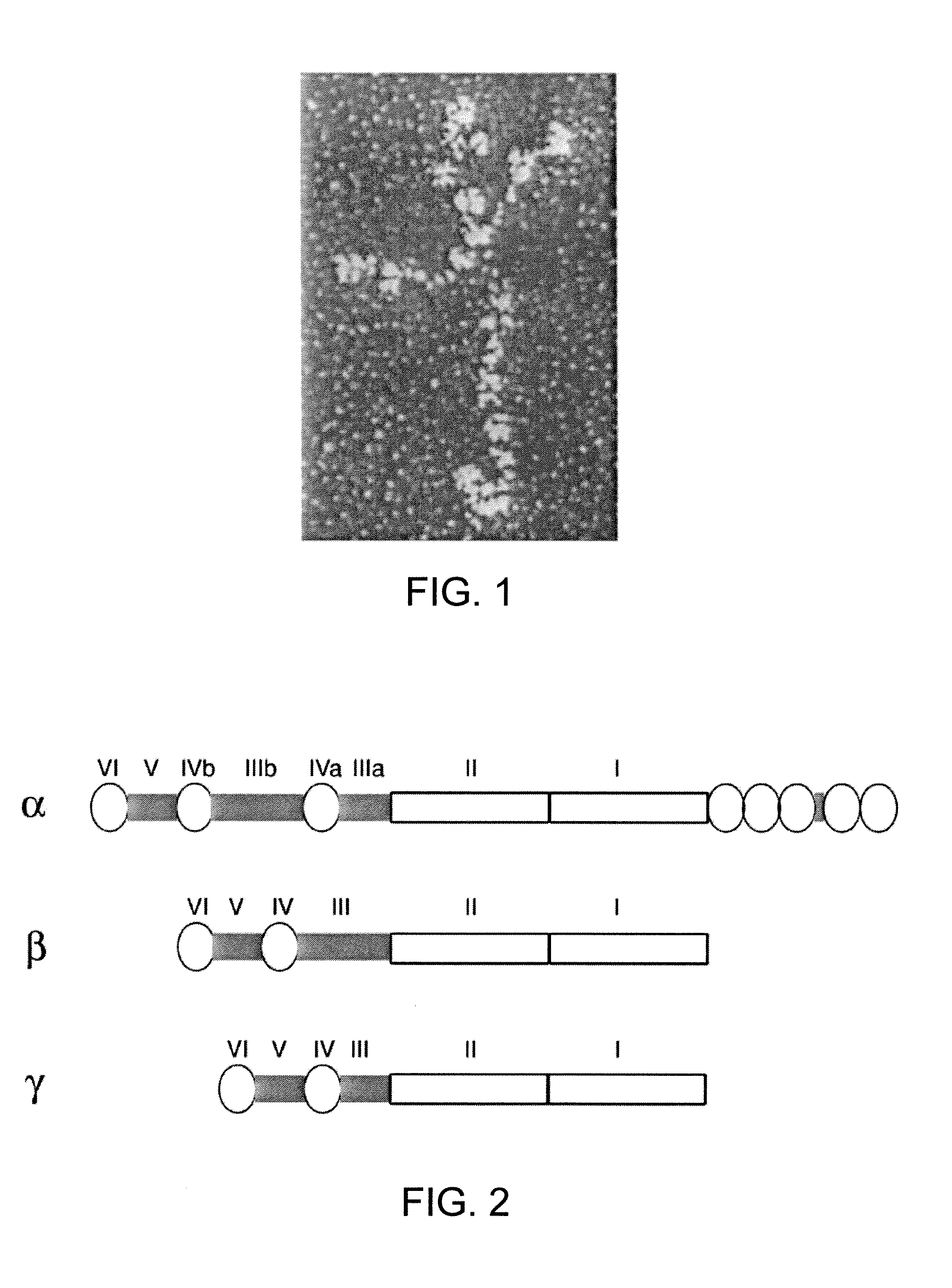 Cell culture medium