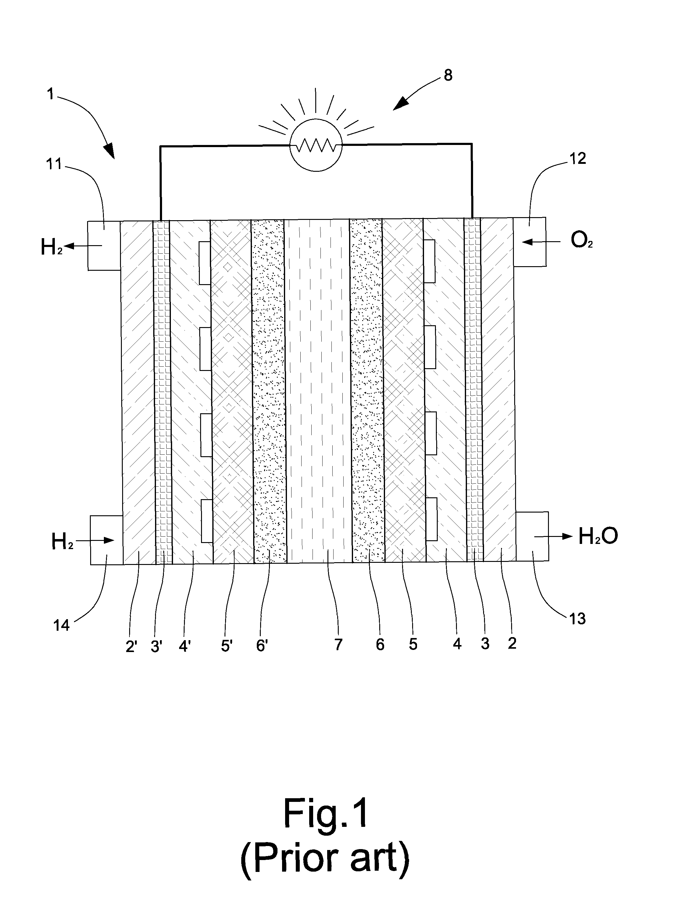 Corrosion resistant gas diffusion layer with a micro protective layer for electrochemical cells