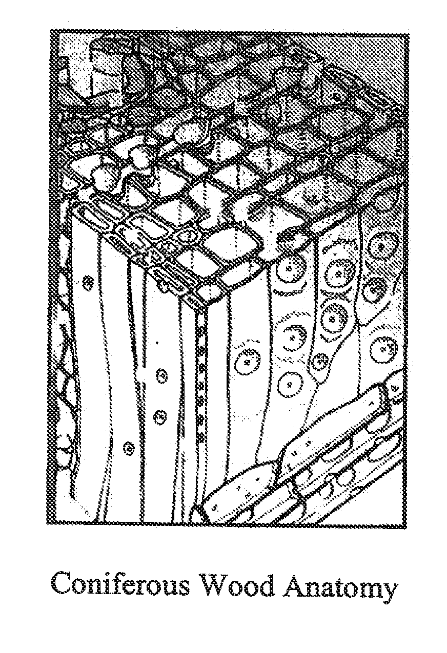 Micronized wood preservative formulations comprising boron compounds