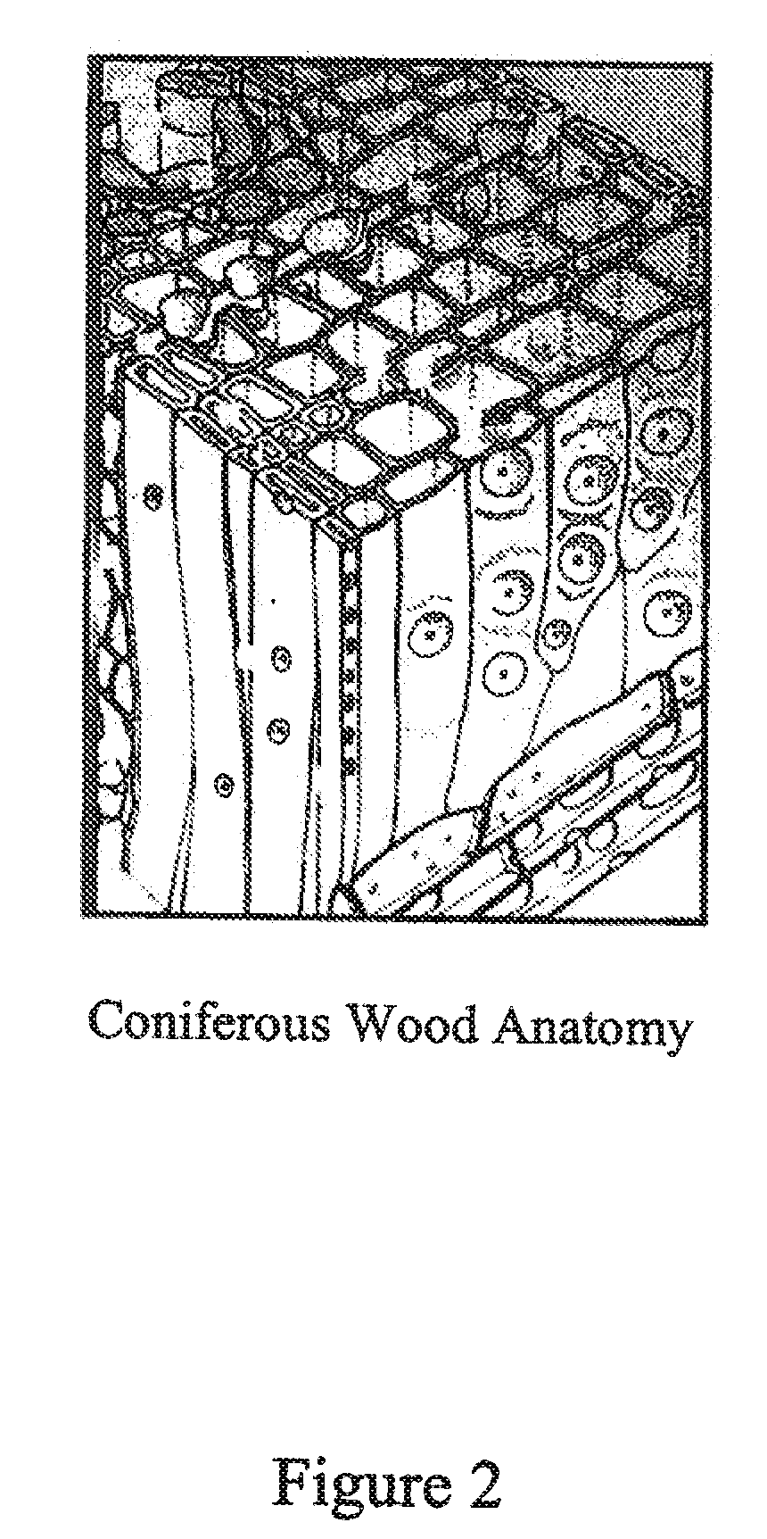 Micronized wood preservative formulations comprising boron compounds