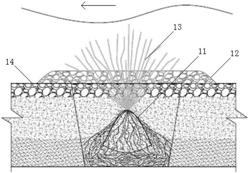 Plant planting method for boulder beach