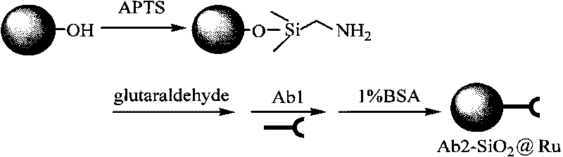 Preparing method of electrochemiluminescence immunosensor