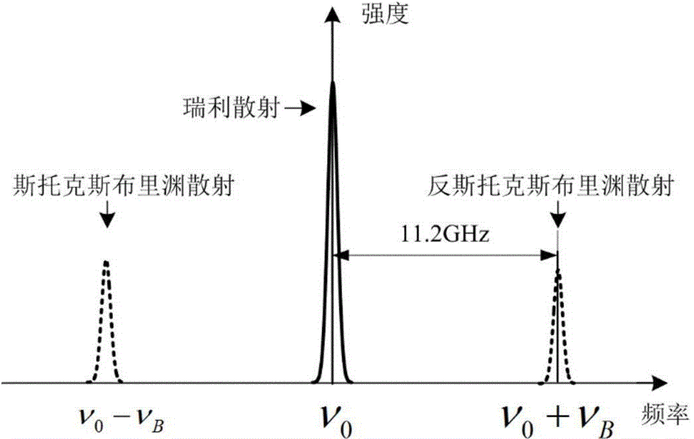 Optical fiber temperature and strain sensing device and method based on high spectral resolution technology