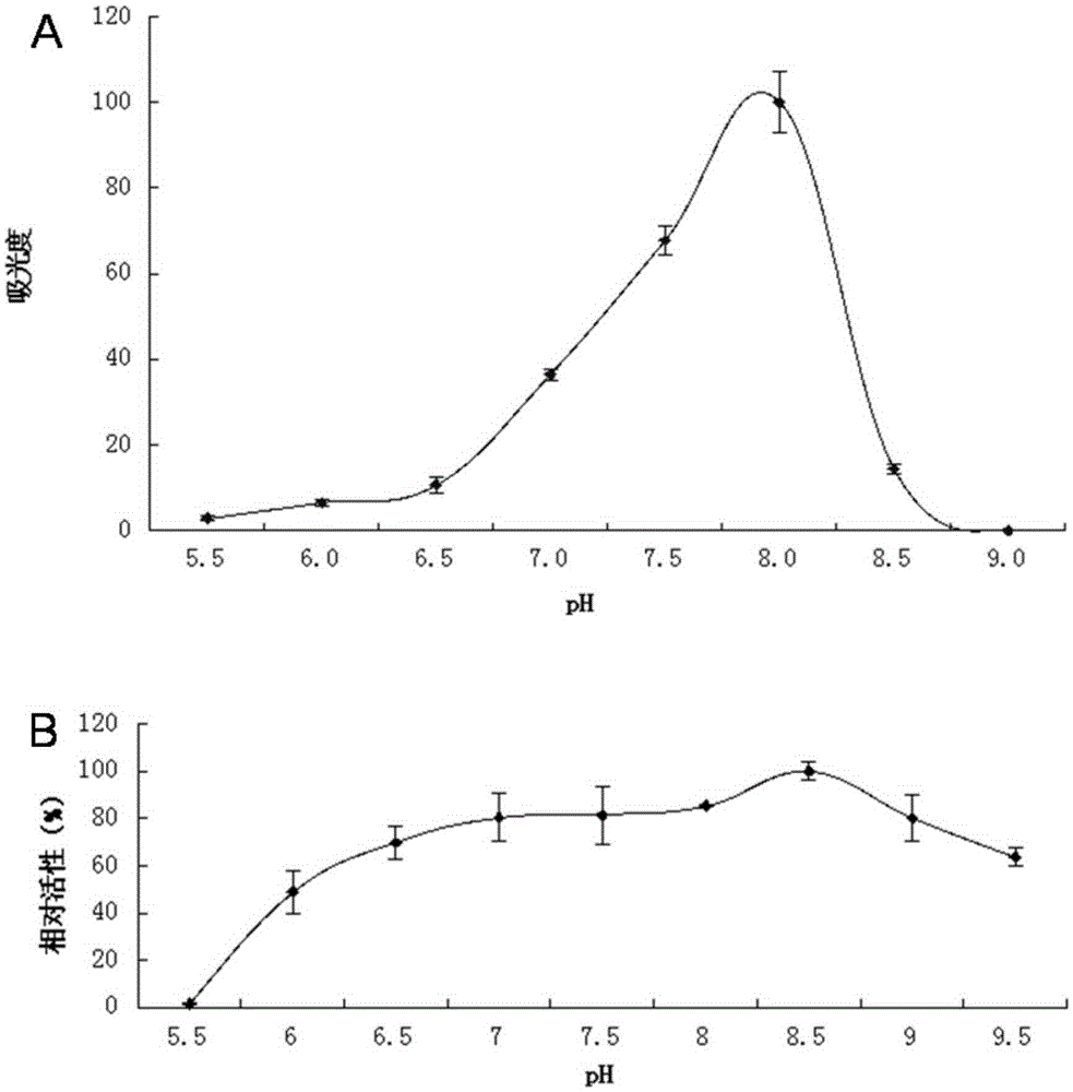 Lipase L-1 and coding gene and application thereof