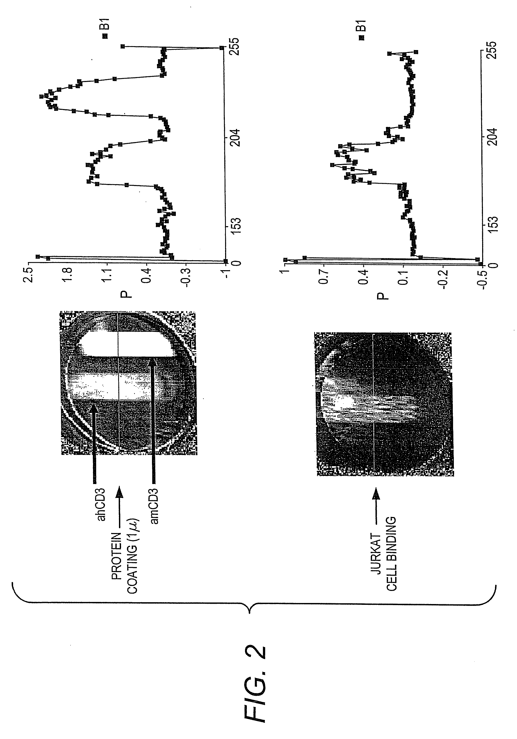 Methods of Detection of Changes in Cells