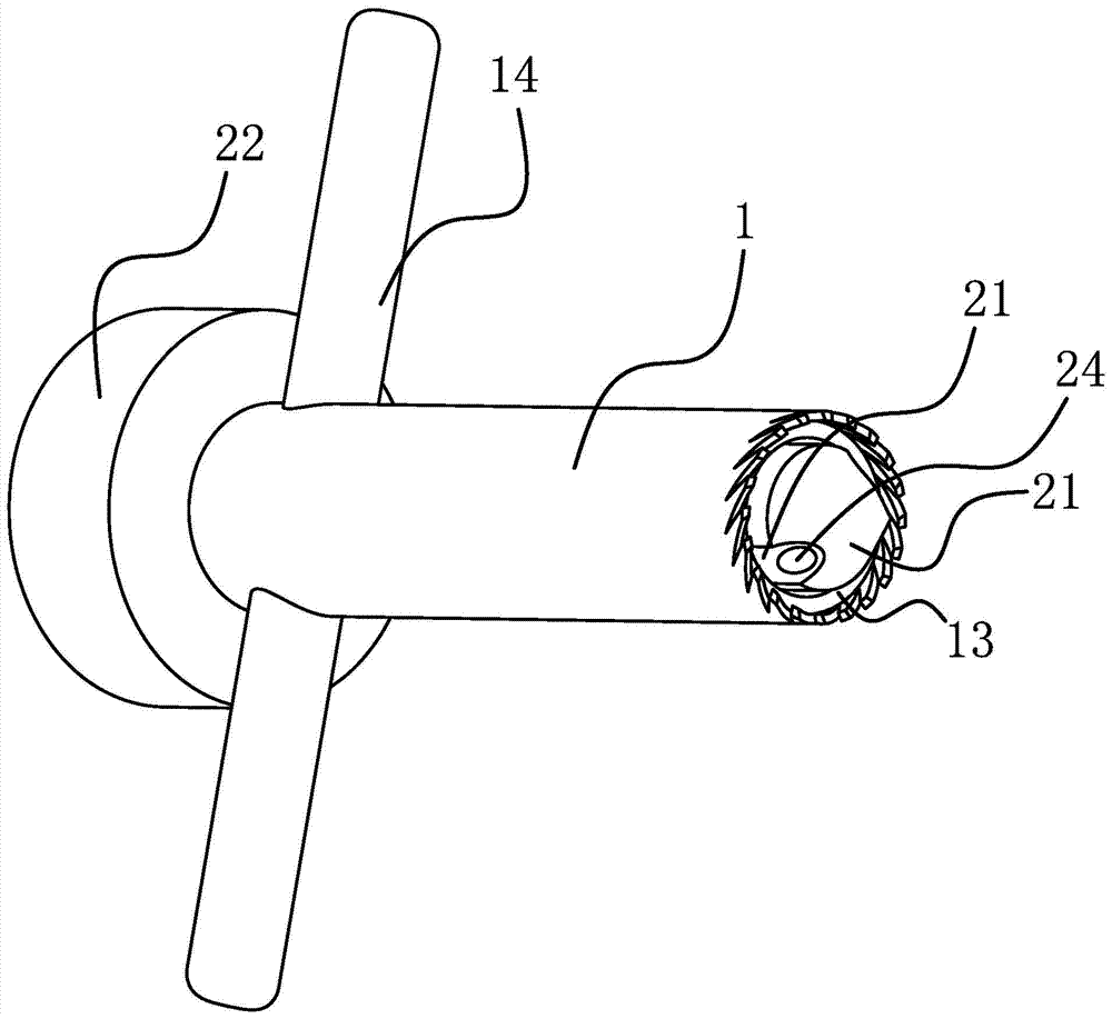 Multi-purpose bone harvesting device