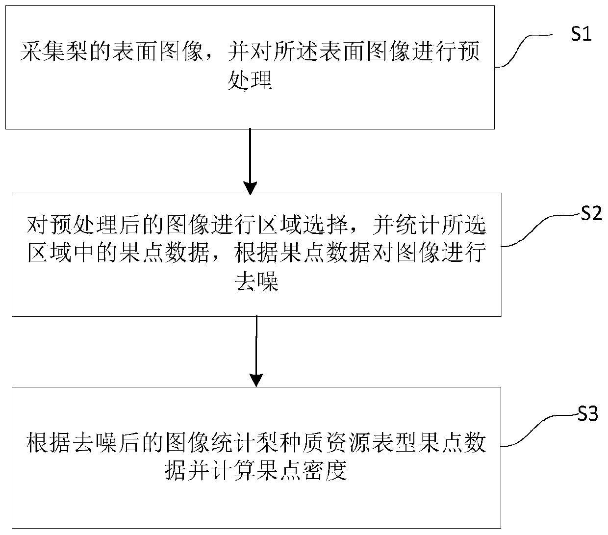 Method for measuring and analyzing phenotypic fruit point data of pear germplasm resources