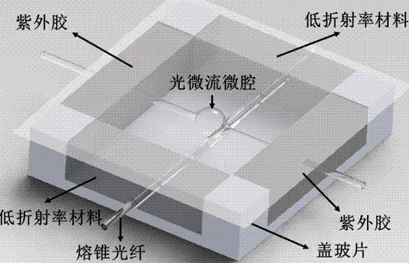 Packaged light micro flow micro cavity biochemical sensor with radial higher order mode kept