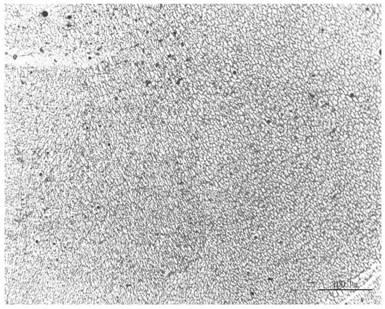 Grain refinement and preparation method of Fe-Ni-SiO2 alloy coating