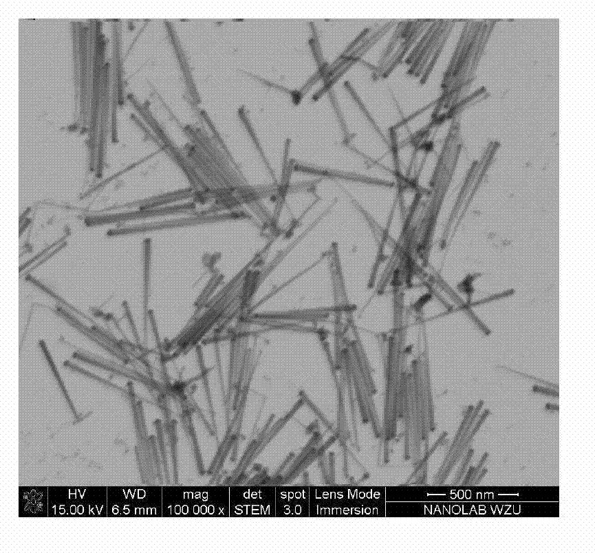 One-step synthetic preparation method of CuInS2 nanowires