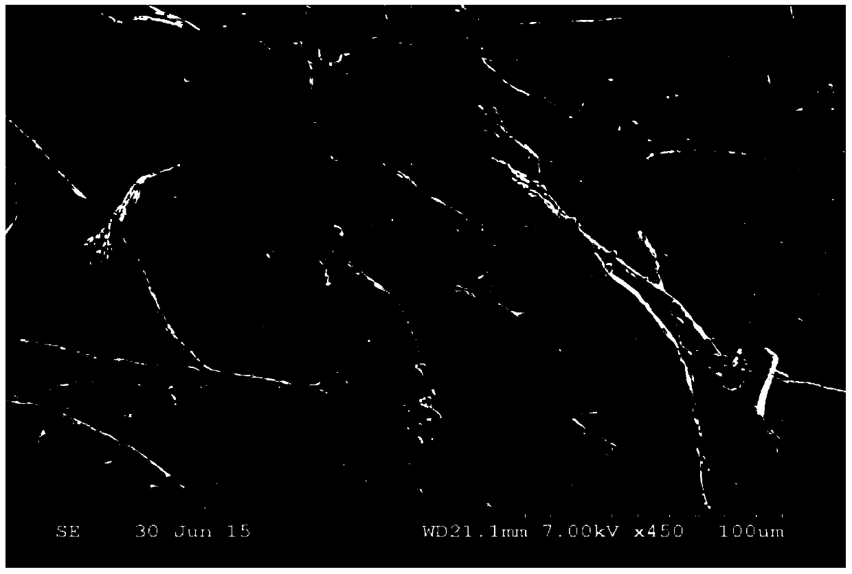 A kind of Penicillium oxalicum njdl-03 bacterial strain and application thereof