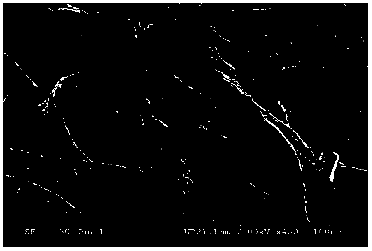 A kind of Penicillium oxalicum njdl-03 bacterial strain and application thereof