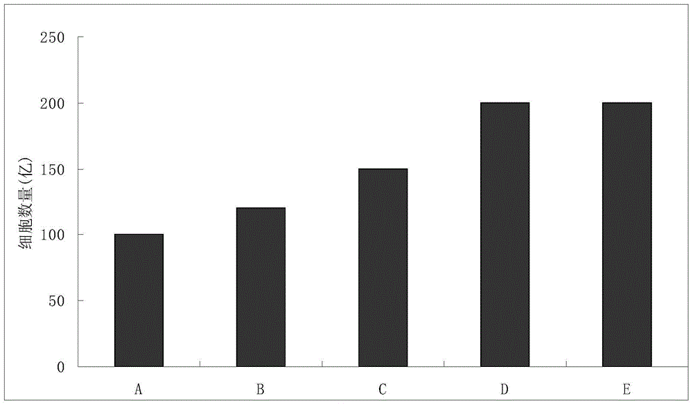 Enhanced cik cell preparation method and cell preparation