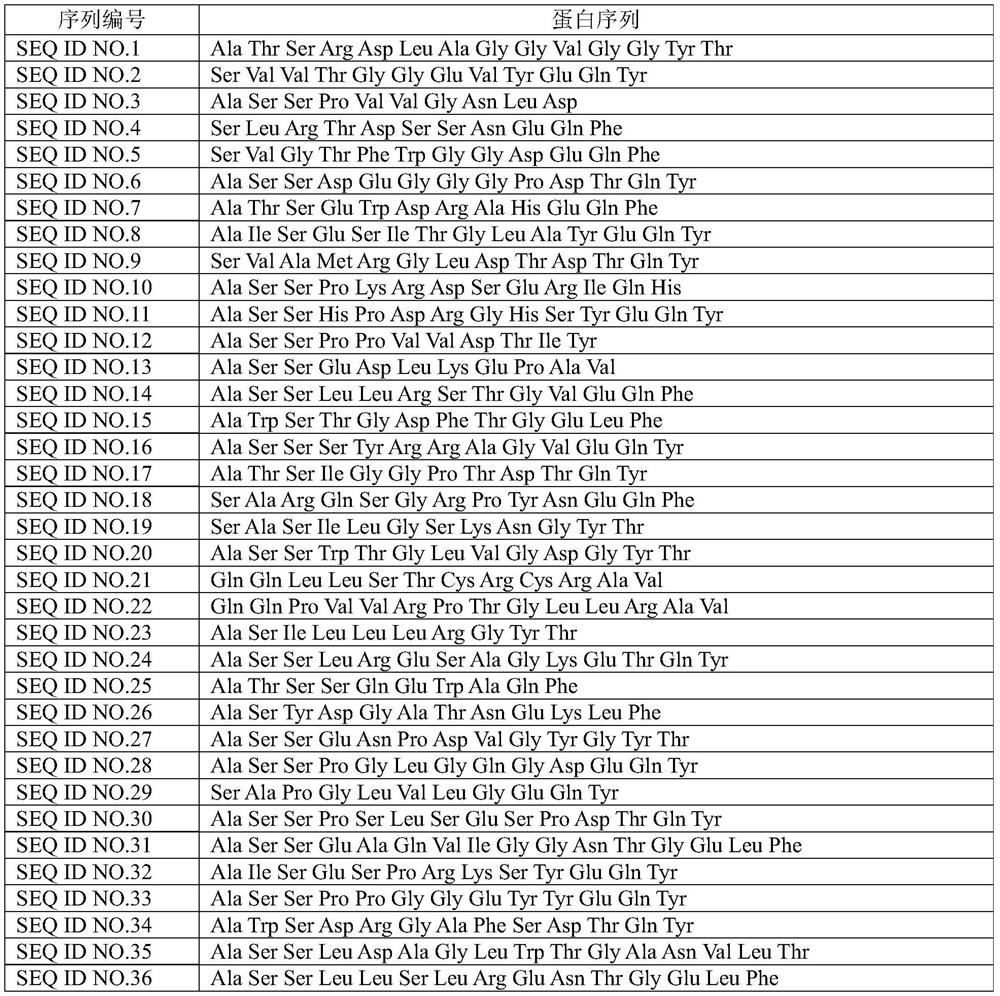 Peripheral blood TCR marker of acute myeloid leukemia and detection kit and application of peripheral blood TCR marker