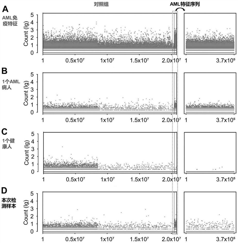 Peripheral blood TCR marker of acute myeloid leukemia and detection kit and application of peripheral blood TCR marker