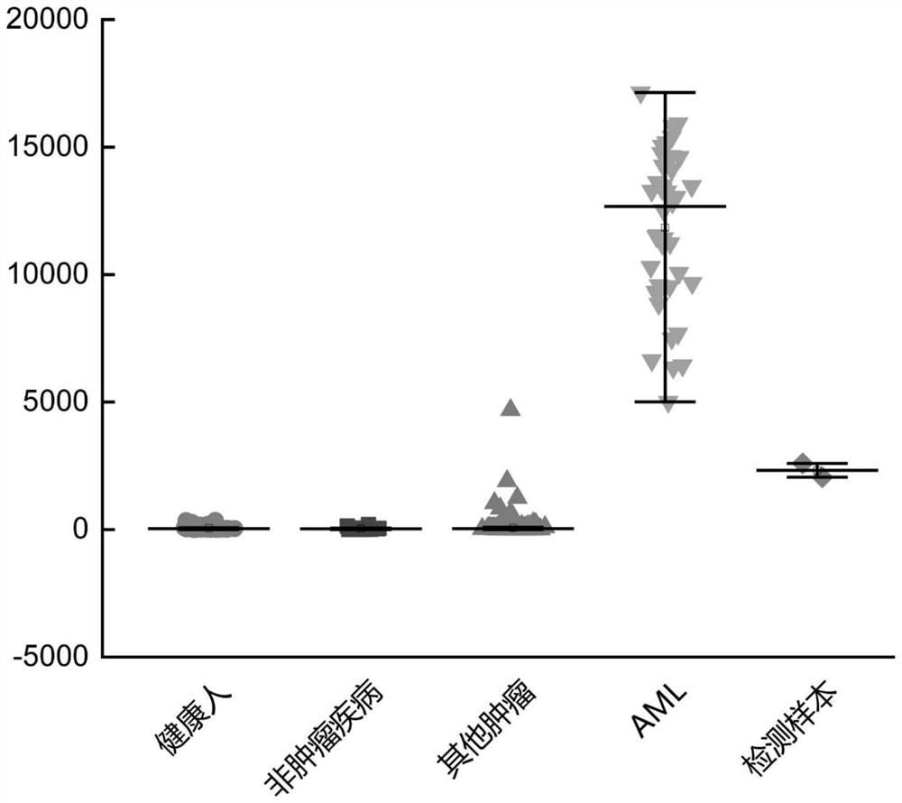 Peripheral blood TCR marker of acute myeloid leukemia and detection kit and application of peripheral blood TCR marker