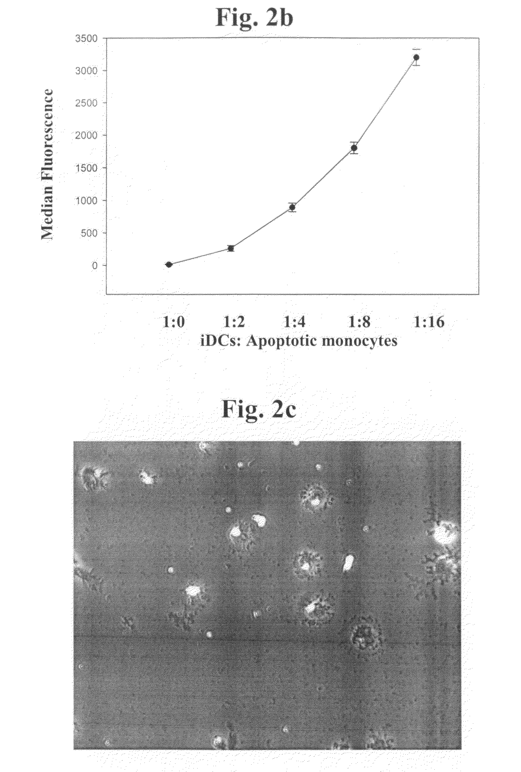 Immune Disease Medicament Comprising a Modulator of the Binding Between a Heparin Bindin Domain of Thrombospondin-1 and a Beta1 Integrin