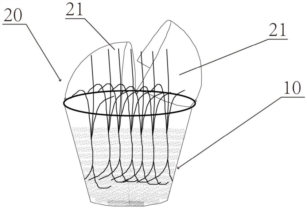 Heat-insulating and heat-preserving flower pot for planting plants and manufacturing method thereof