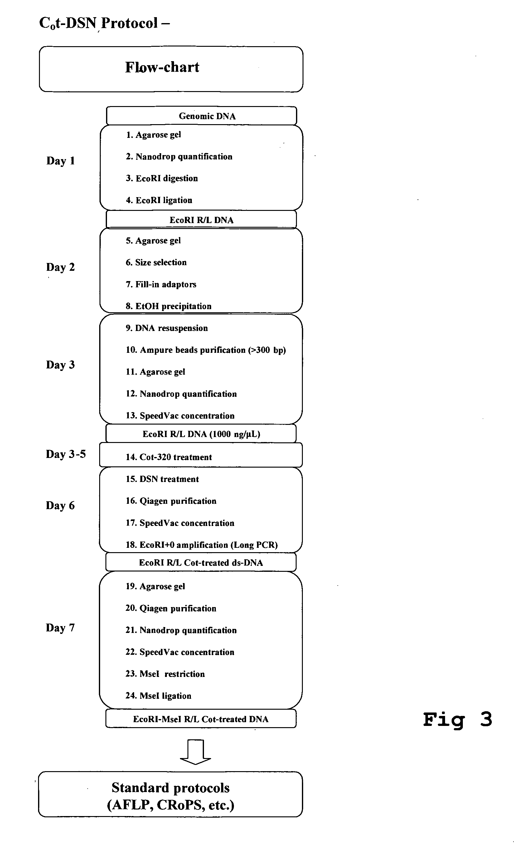 Method for the reduction of repetitive sequences in adapter-ligated restriction fragments