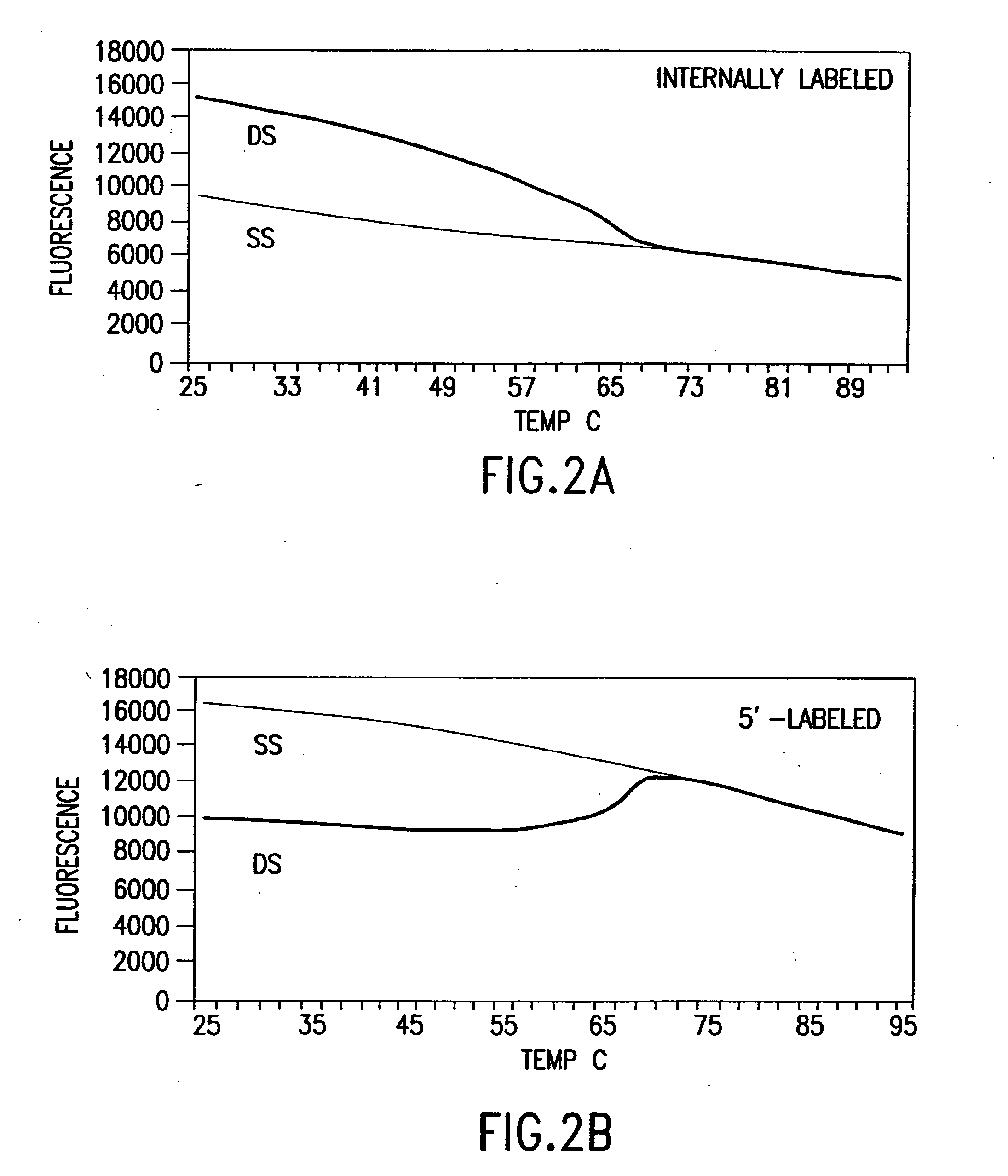 Primers and methods for the detection and discrimination of nucleic acids