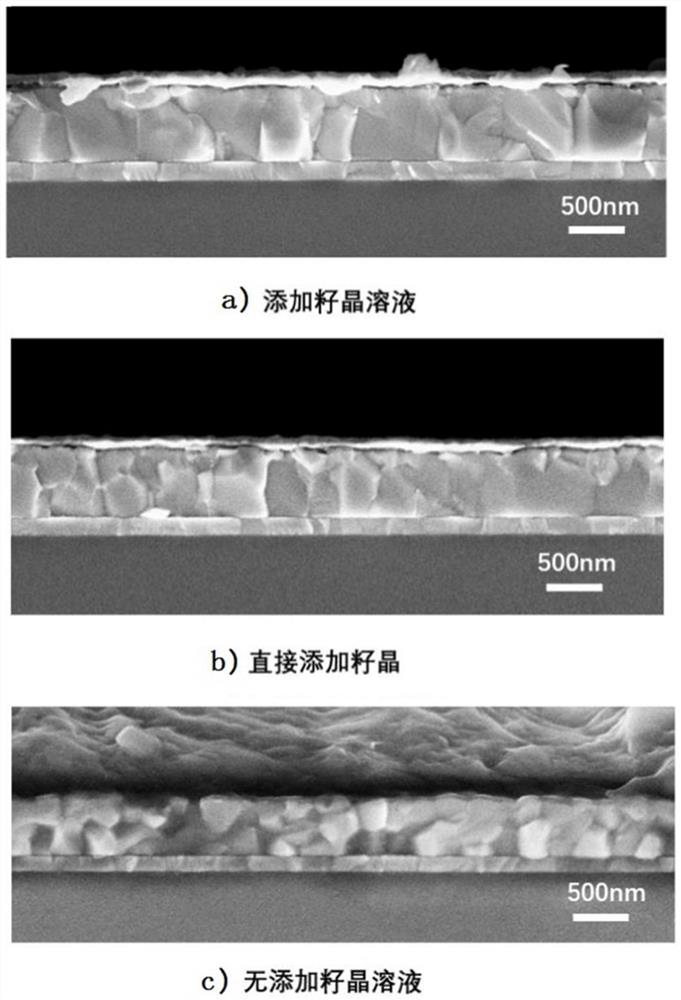 Trans-solar cell preparation method based on seed crystal induced growth perovskite thin film