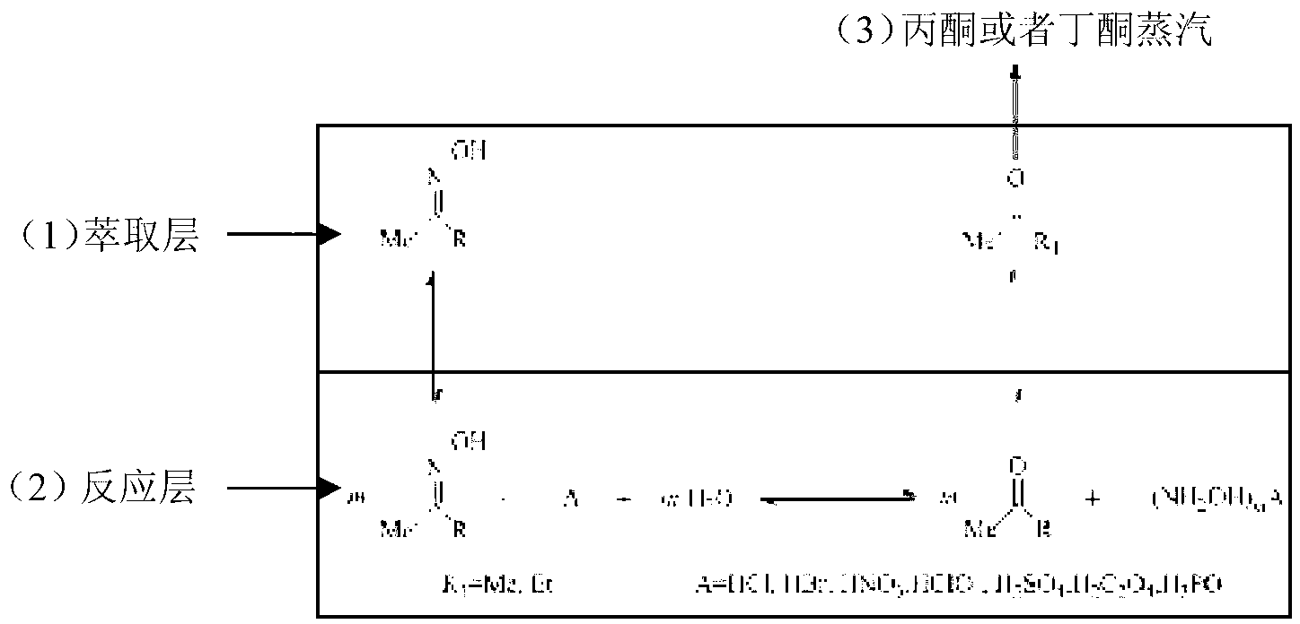 Method of preparing hydroxylamine salt by using reaction-extractive distillation coupling technology