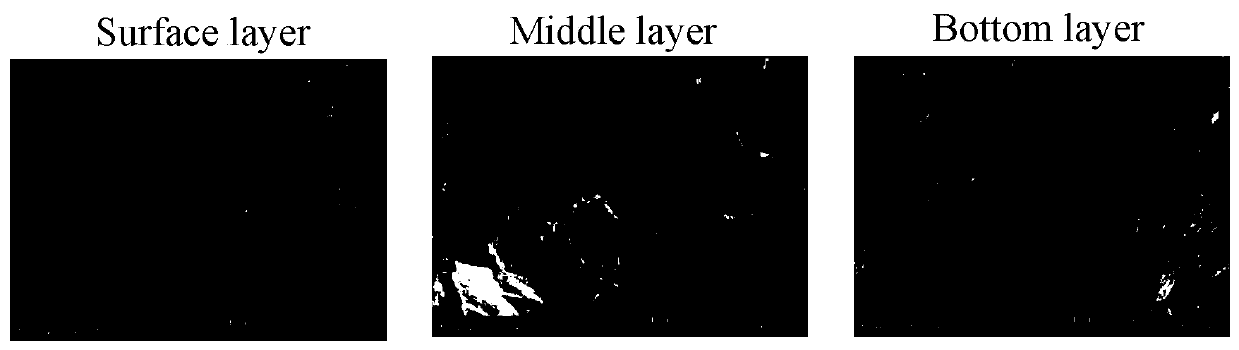 Preparation method and application of multifunctional GTR gradient barrier membrane