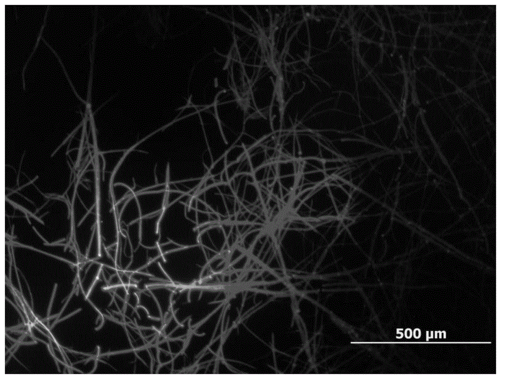 High fluorescence emitted POSS substituted perylene diimide crystal and preparation method