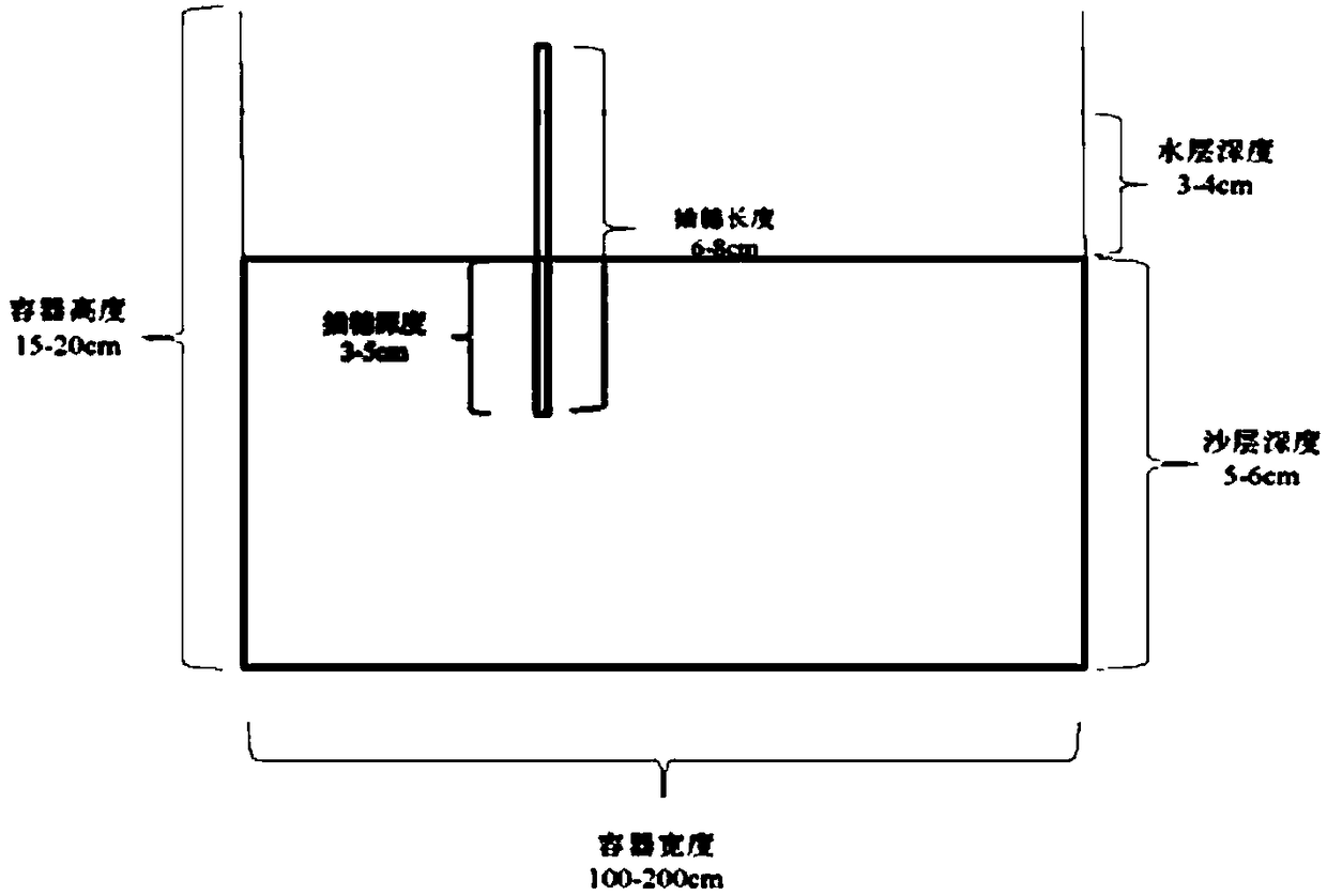 Method for improving rooting rate of cutting of salix chaenomeloides