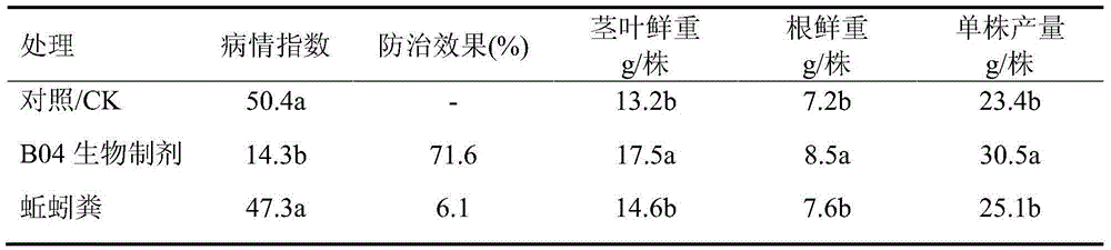 Antagonistic actinomycete for preventing and controlling continuously cropped strawberry root rot and preparation method of biocontrol agent of antagonistic actinomycete