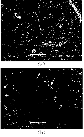 Laser-induced heat-cracking grinding method for aluminum oxide engineering ceramics