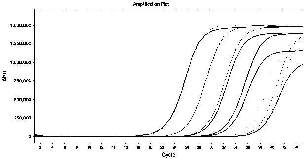 Novel coronavirus(2019-nCoV) ORF1ab gene nucleic acid detection kit