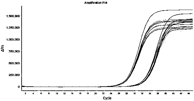 Novel coronavirus(2019-nCoV) ORF1ab gene nucleic acid detection kit