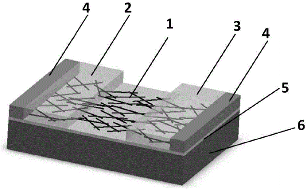 Disordered netty carbon nanotube based p-n junction diode and preparation method thereof