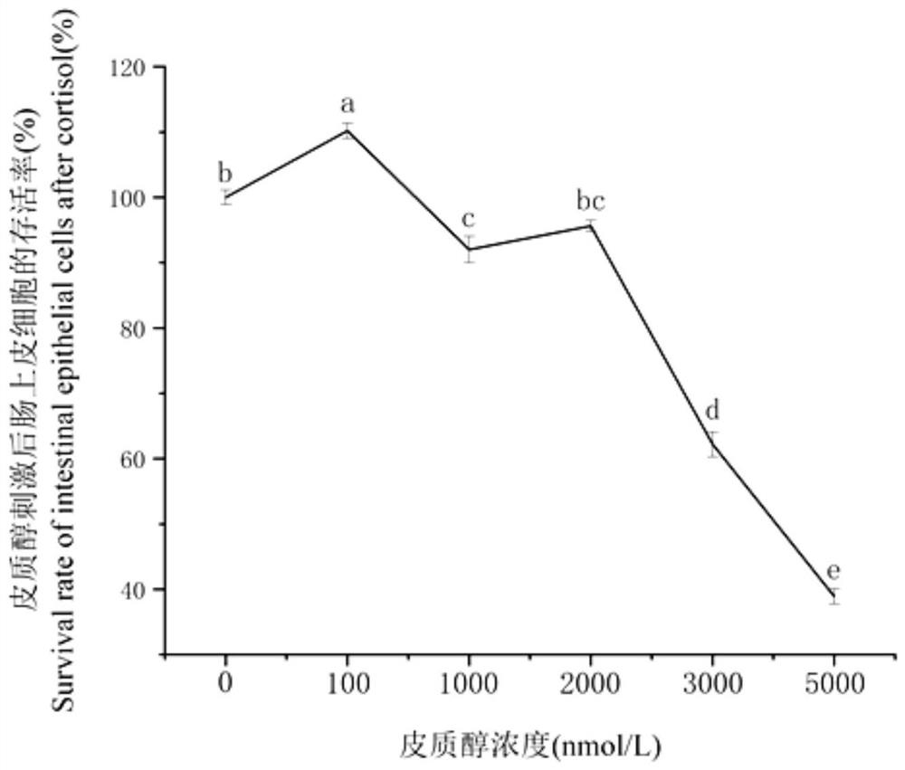 Method for isolated culture of intestinal epithelial cells of Takifugu obscurus and establishment of stress model