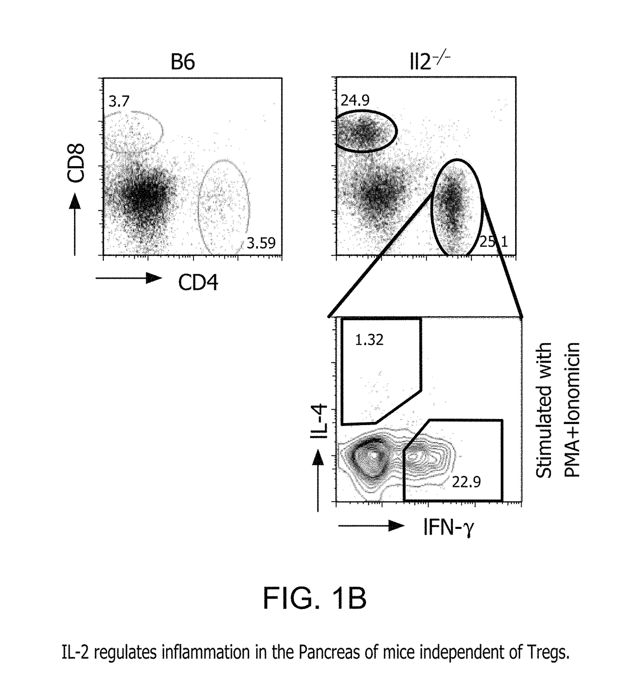 Fusion protein comprising interleukin-2 and interleukin-33