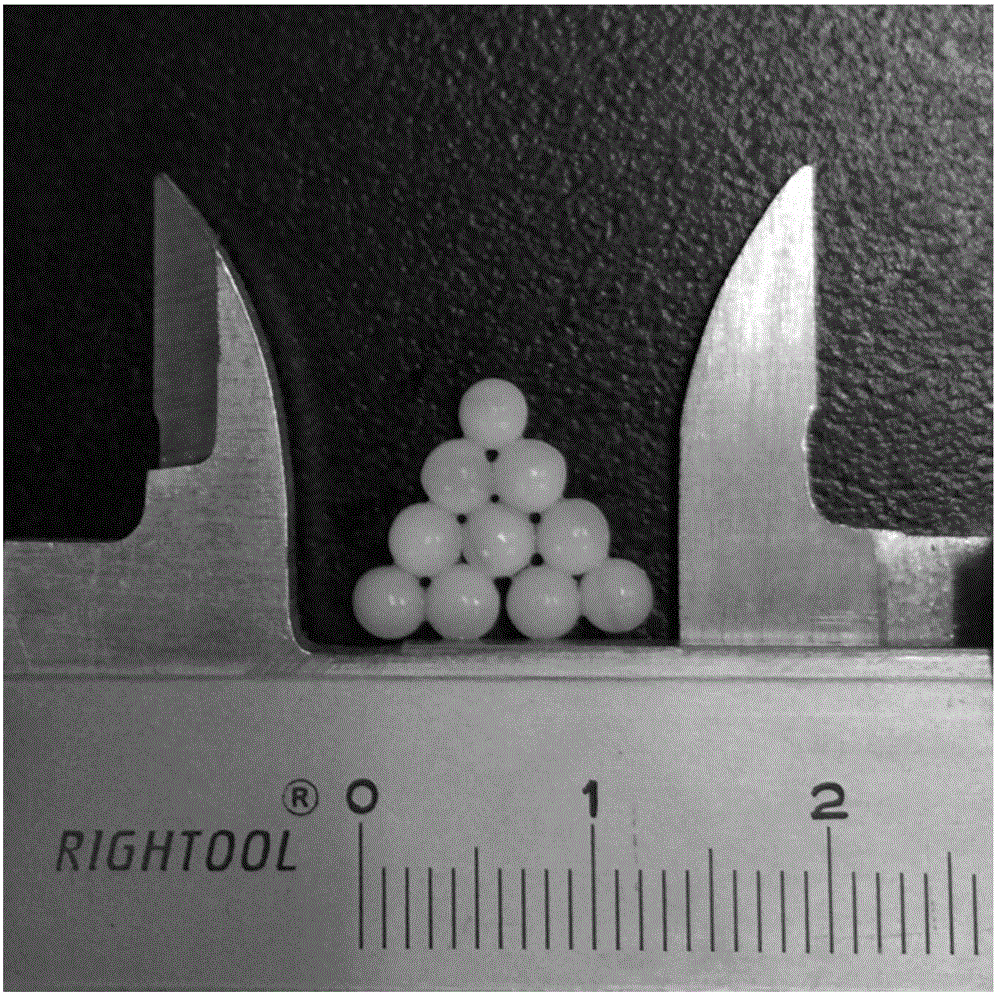 Method for removing heavy metal in marine animal homogenate