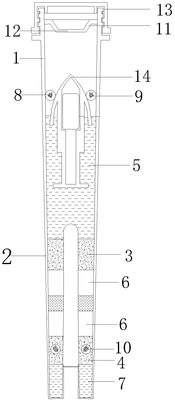 Mycobacterium tuberculosis complex nucleic acid detection method and kit