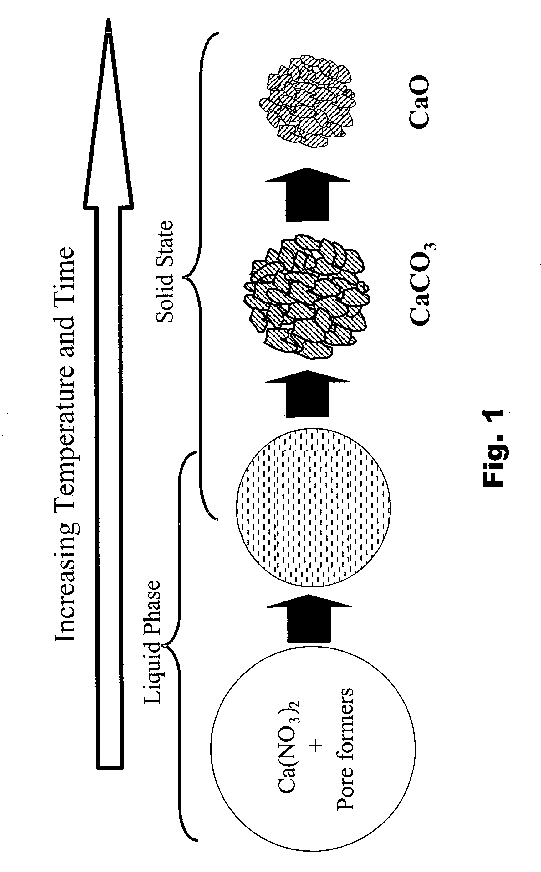 Fuel reformer catalyst and absorbent materials