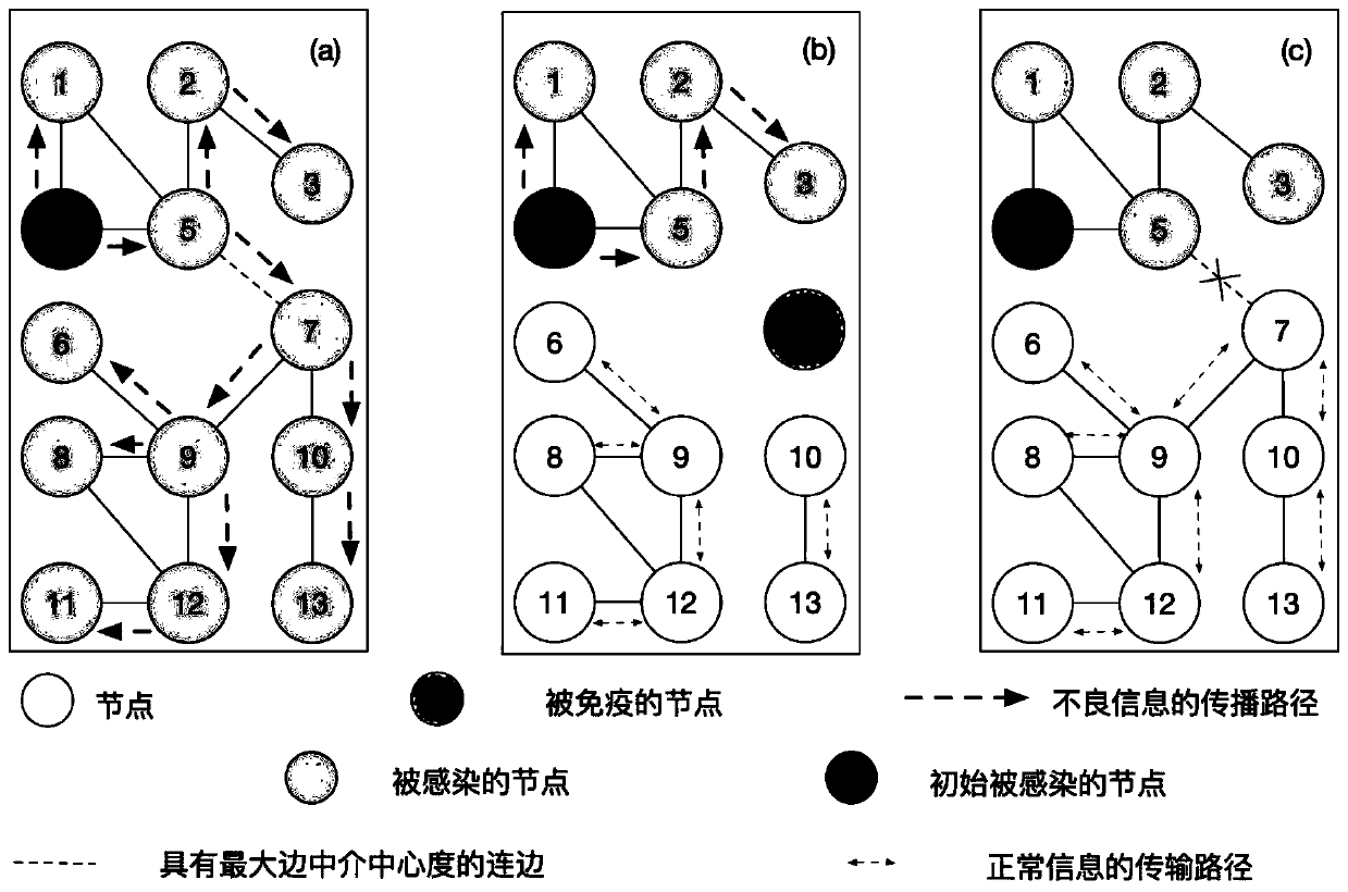 Social network immune algorithm based on network high-order structure