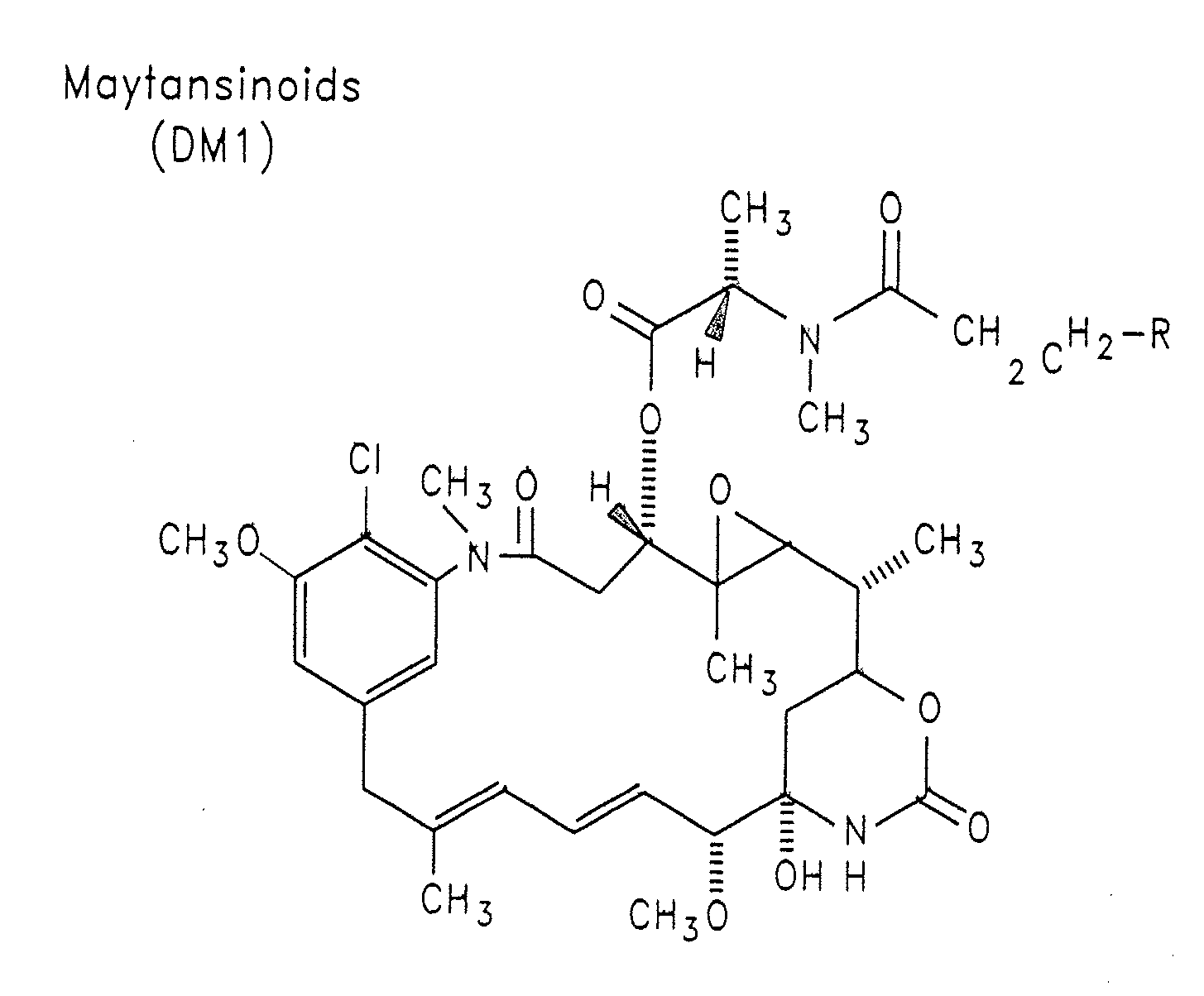 Methods of treatment using Anti-erbb antibody-maytansinoid conjugates