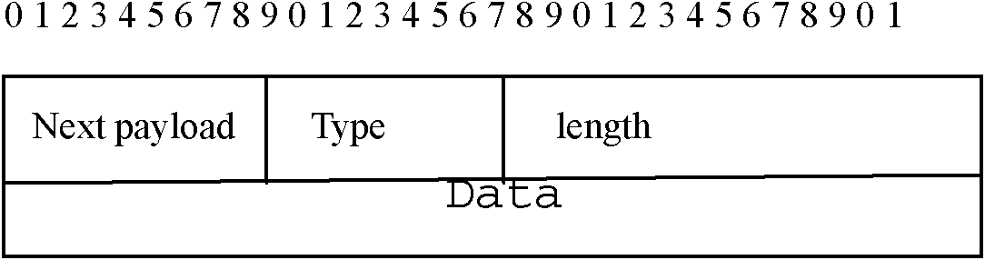 Method for realizing trusted transmission of voice over internet phone (VoIP) media stream by expanding MIKEY protocol