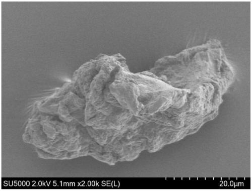 Method for synthesizing phenylalanine esterified bagasse xylan-g-CHMA (cyclohexyl methacrylate) with anti-tumor activity