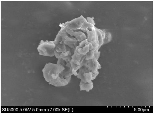 Method for synthesizing phenylalanine esterified bagasse xylan-g-CHMA (cyclohexyl methacrylate) with anti-tumor activity